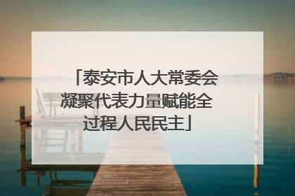 泰安市人大常委会凝聚代表力量赋能全过程人民民主