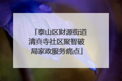 泰山区财源街道清真寺社区聚智破局家政服务痛点