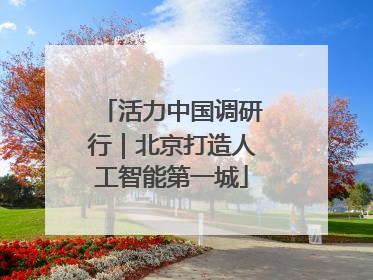 活力中国调研行｜北京打造人工智能第一城