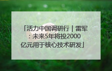 活力中国调研行｜雷军：未来5年将投2000亿元用于核心技术研发