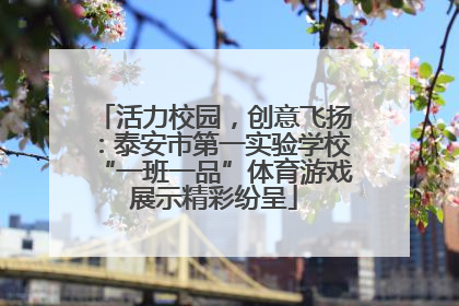 活力校园，创意飞扬：泰安市第一实验学校“一班一品”体育游戏展示精彩纷呈