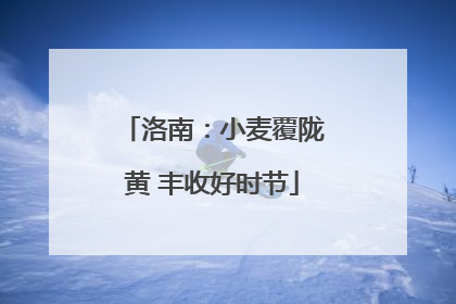 洛南：小麦覆陇黄 丰收好时节