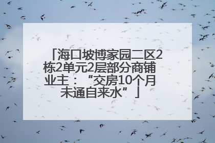 海口坡博家园二区2栋2单元2层部分商铺业主：“交房10个月未通自来水”