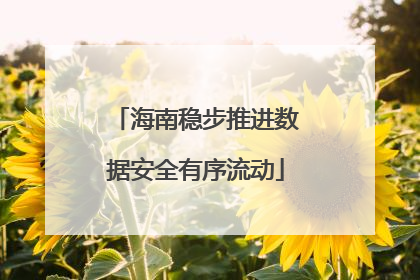 海南稳步推进数据安全有序流动