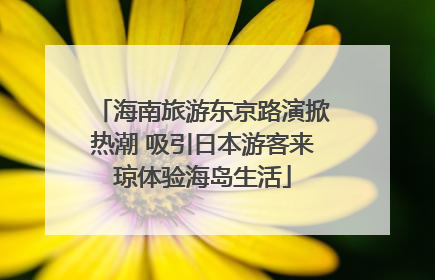 海南旅游东京路演掀热潮 吸引日本游客来琼体验海岛生活