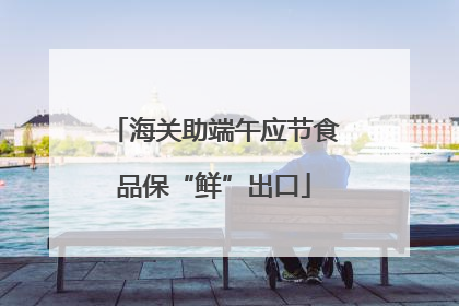 海关助端午应节食品保“鲜”出口
