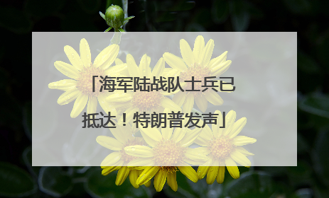 海军陆战队士兵已抵达！特朗普发声
