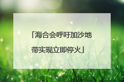 海合会呼吁加沙地带实现立即停火