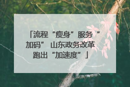 流程“瘦身”服务“加码” 山东政务改革跑出“加速度”