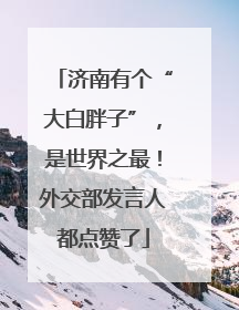 济南有个“大白胖子”，是世界之最！外交部发言人都点赞了