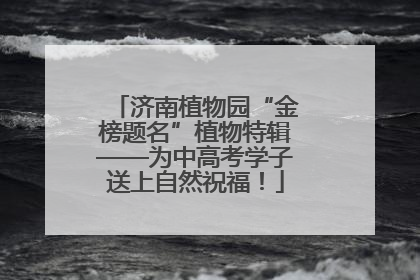 济南植物园“金榜题名”植物特辑——为中高考学子送上自然祝福！