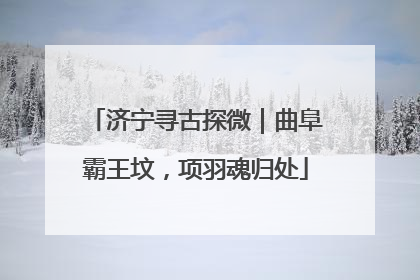济宁寻古探微｜曲阜霸王坟，项羽魂归处