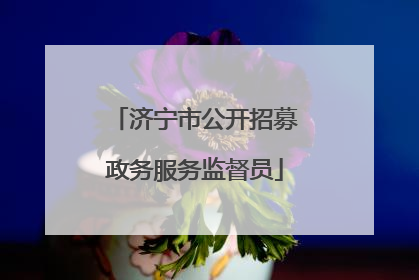 济宁市公开招募政务服务监督员