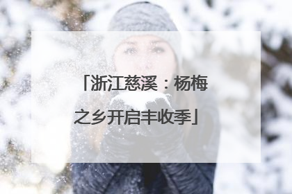 浙江慈溪：杨梅之乡开启丰收季