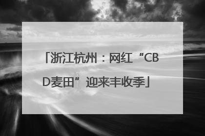 浙江杭州：网红“CBD麦田”迎来丰收季