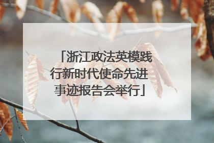 浙江政法英模践行新时代使命先进事迹报告会举行