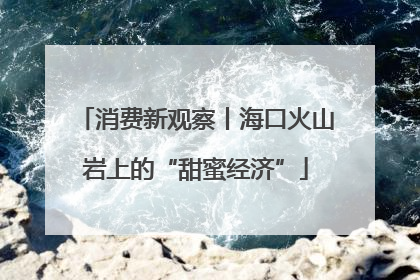 消费新观察丨海口火山岩上的“甜蜜经济”