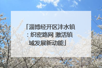 淄博经开区沣水镇：织密路网 激活镇域发展新动能