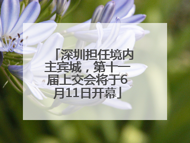 深圳担任境内主宾城，第十一届上交会将于6月11日开幕