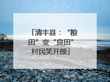 清丰县：“粮田”变“良田”村民笑开颜