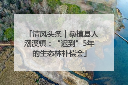 清风头条｜桑植县人潮溪镇：“迟到”5年的生态林补偿金