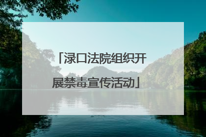 渌口法院组织开展禁毒宣传活动