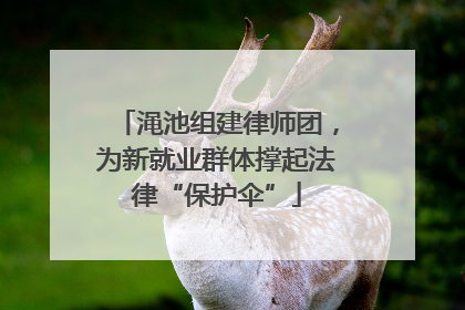 渑池组建律师团，为新就业群体撑起法律“保护伞”