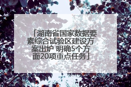 湖南省国家数据要素综合试验区建设方案出炉 明确5个方面20项重点任务