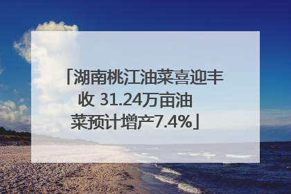 湖南桃江油菜喜迎丰收 31.24万亩油菜预计增产7.4%