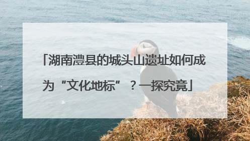 湖南澧县的城头山遗址如何成为“文化地标”？一探究竟