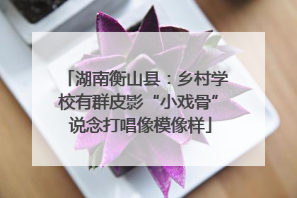 湖南衡山县：乡村学校有群皮影“小戏骨” 说念打唱像模像样