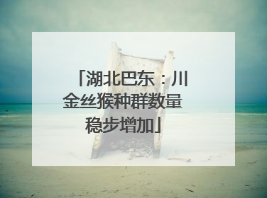 湖北巴东：川金丝猴种群数量稳步增加