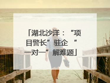 湖北沙洋：“项目警长”驻企 “一对一”解难题