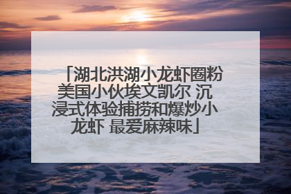 湖北洪湖小龙虾圈粉美国小伙埃文凯尔 沉浸式体验捕捞和爆炒小龙虾 最爱麻辣味