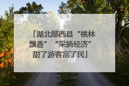 湖北郧西县“桃林飘香”“采摘经济”甜了游客富了民
