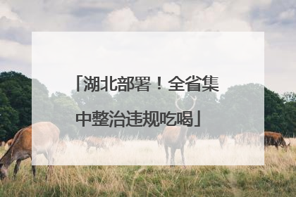 湖北部署！全省集中整治违规吃喝