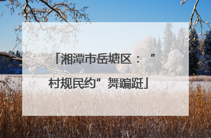 湘潭市岳塘区：“村规民约”舞蹁跹