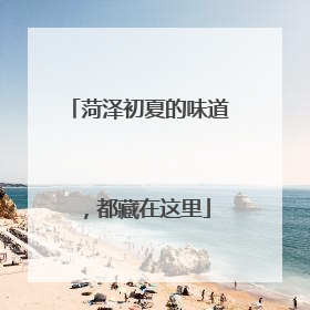 菏泽初夏的味道，都藏在这里