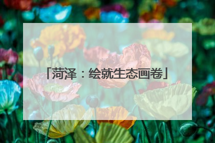 菏泽：绘就生态画卷