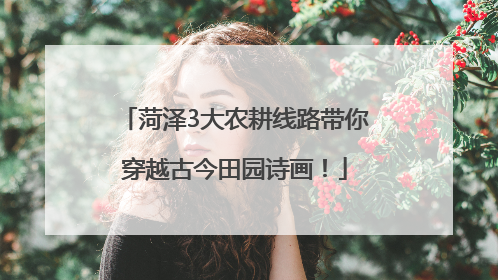 菏泽3大农耕线路带你穿越古今田园诗画！