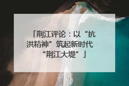荆江评论：以“抗洪精神”筑起新时代“荆江大堤”