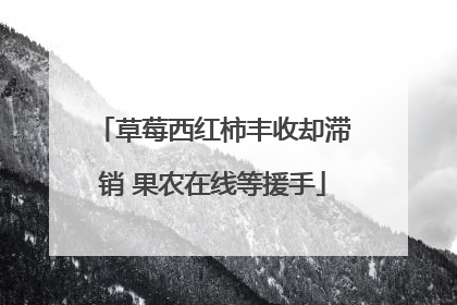 草莓西红柿丰收却滞销 果农在线等援手