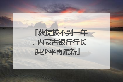 获提拔不到一年，内蒙古银行行长洪少平再履新