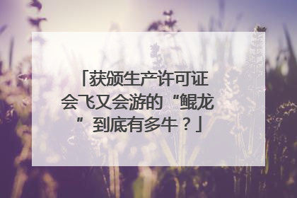 获颁生产许可证 会飞又会游的“鲲龙”到底有多牛？
