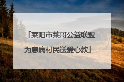 莱阳市菜哥公益联盟为患病村民送爱心款