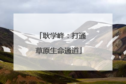 耿学峰：打通草原生命通道