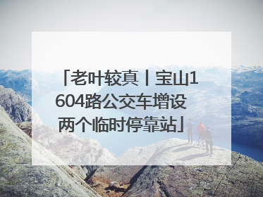老叶较真丨宝山1604路公交车增设两个临时停靠站