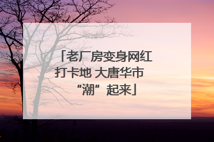 老厂房变身网红打卡地 大唐华市“潮”起来