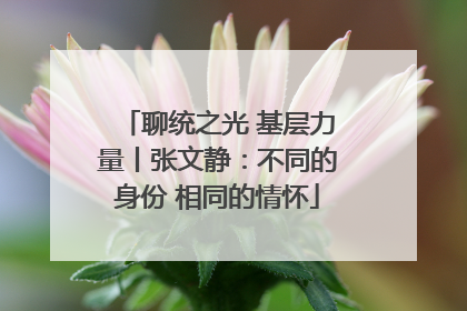 聊统之光 基层力量丨张文静：不同的身份 相同的情怀