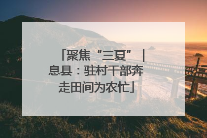 聚焦“三夏”｜息县：驻村干部奔走田间为农忙